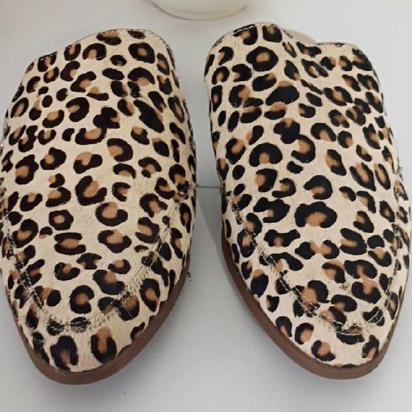 Sole Society Size 7 Cheetah Print Pointed Toe Mules Tan Black Leather Calf Hair - Picture 3 of 10
